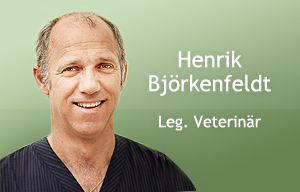 henrik-bjorkenfeldt