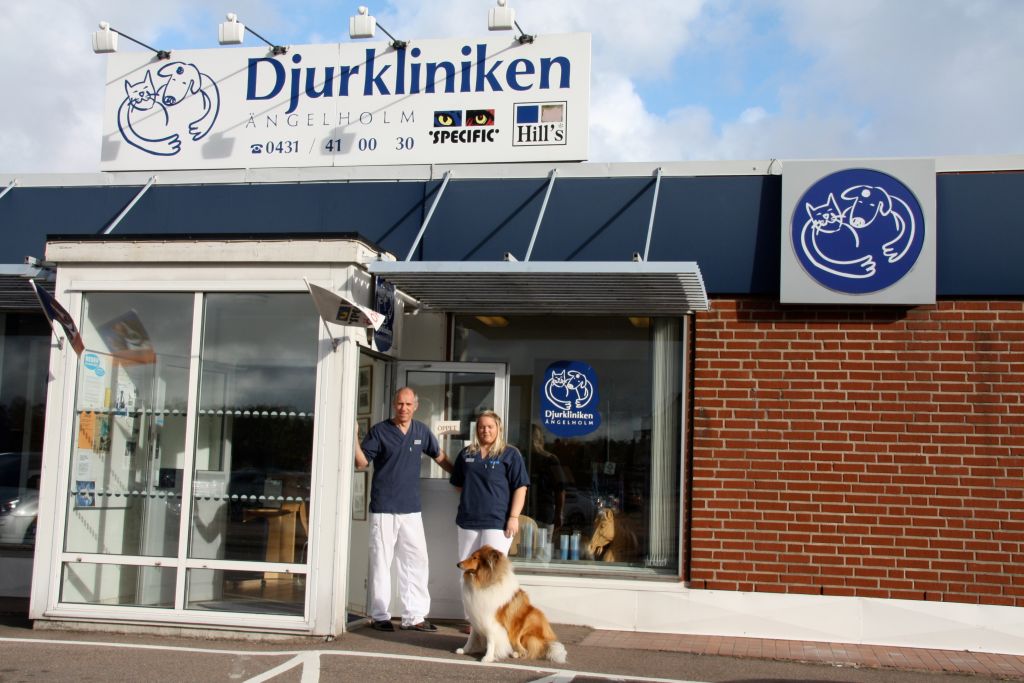 djurkliniken ängelholm